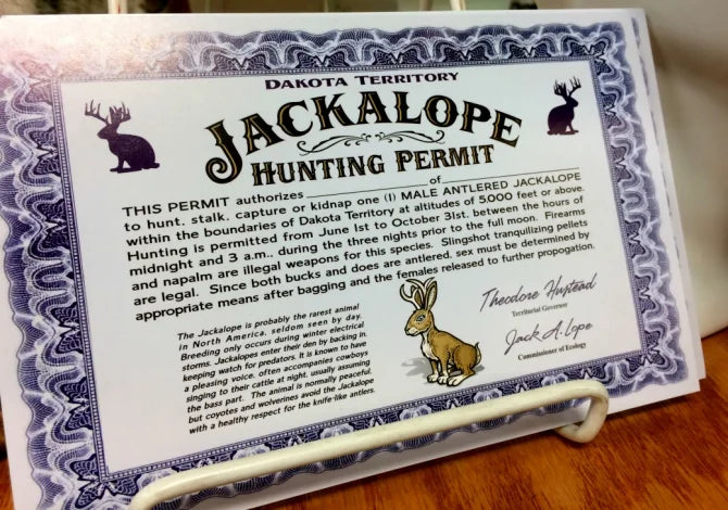 Jackalope | The Stunning Hare With Antlers