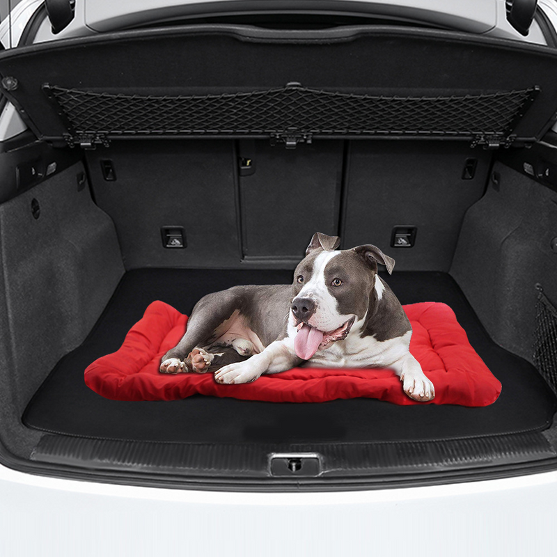 Portable Dog Bed for Travel – Foldable & Comfortable