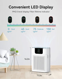 Portable Air Purifier