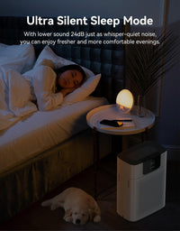 Portable Air Purifier