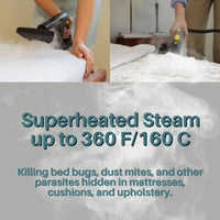 Steam Cleaner for Bed Bugs - Get Rid of Bed Bugs Effectively