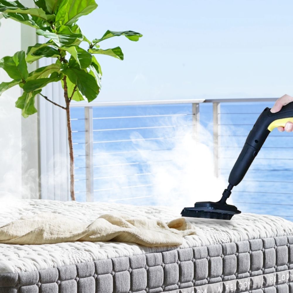 Steam Cleaner for Bed Bugs - Get Rid of Bed Bugs Effectively