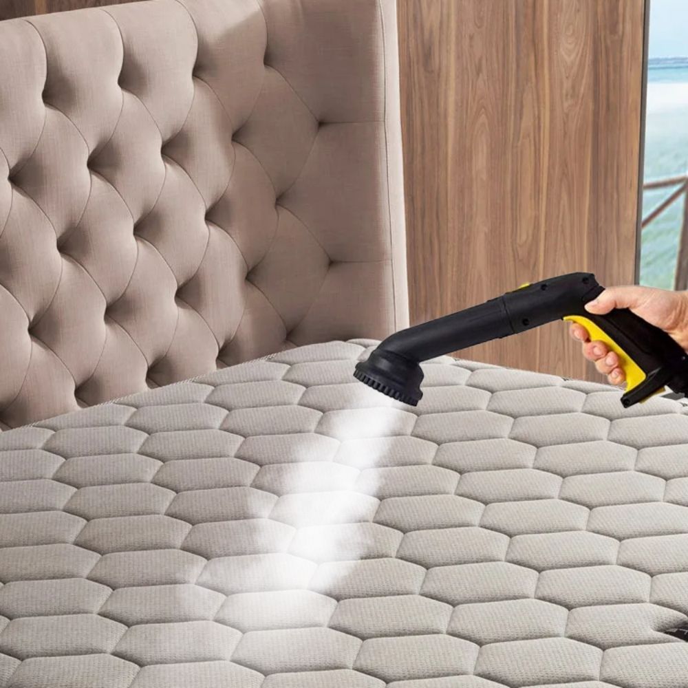 Steam Cleaner for Bed Bugs - Get Rid of Bed Bugs Effectively