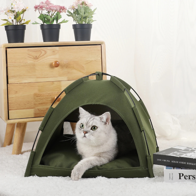 Cozy, Stylish & Practical Cat Tent