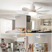 20.5-Inch 30W Ceiling Fan with Remote Control – LED Light