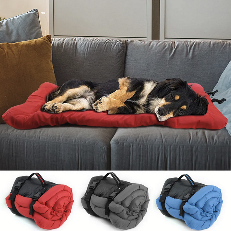 Portable Dog Bed for Travel – Foldable & Comfortable