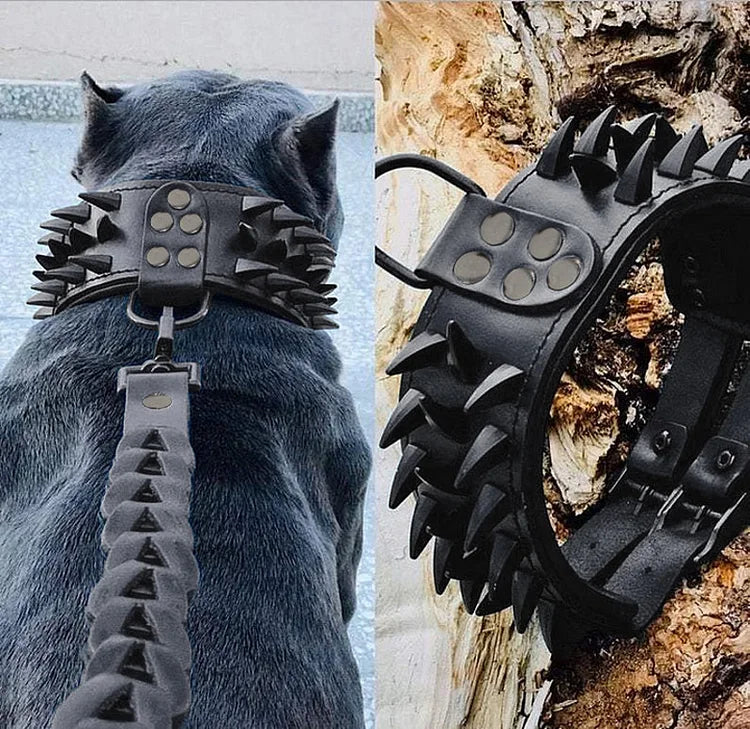 Hundehalsband aus Leder mit Nieten