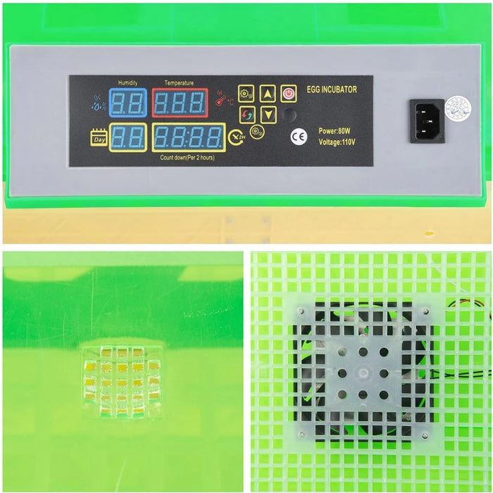 56-Egg Automatic Incubator & Hatcher | Digital Temperature Control