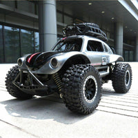 Remote Control RC Cars Toys Independent Suspension Off Road Vehicle