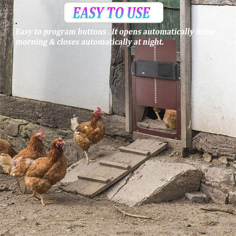 Light Sensor Automatic Chicken Coop