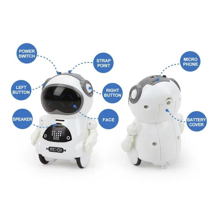Pocket Mini RC Robot Talking Interactive Kids Toy