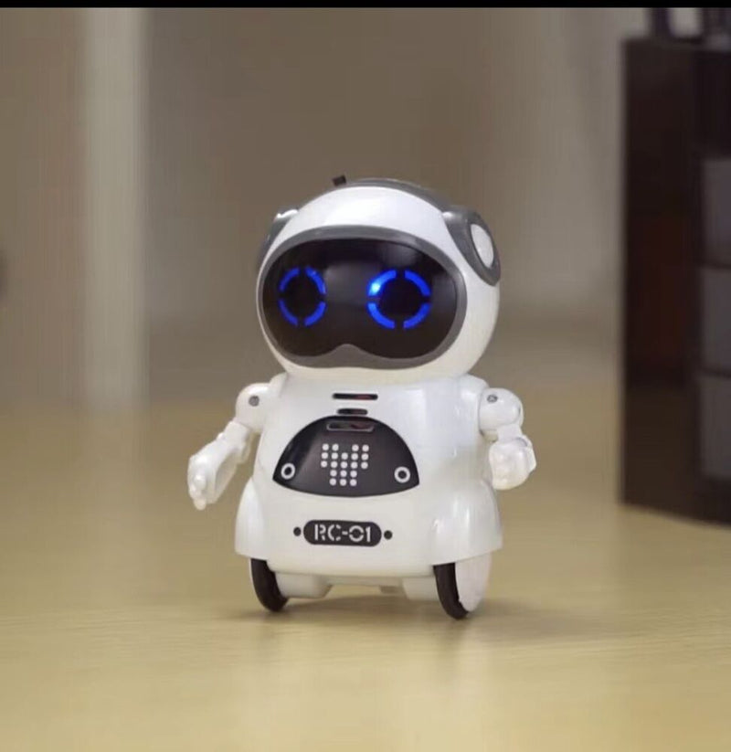 Pocket Mini RC Roboter Sprechendes Interaktives Kinderspielzeug