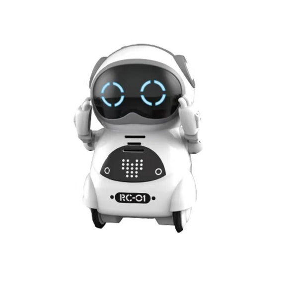 Pocket Mini RC Roboter Sprechendes Interaktives Kinderspielzeug