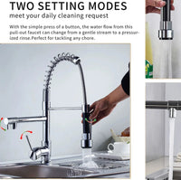 Single Handle Chrome Kitchen Faucet with Pull-Out Spray