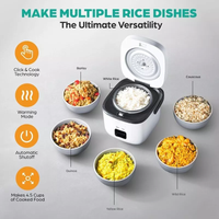 Premium Space-Saving Rice Cooker with Ceramic Nonstick Inner Pot