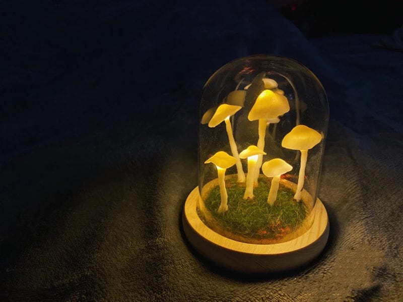 DIY Pilze im Wald Licht