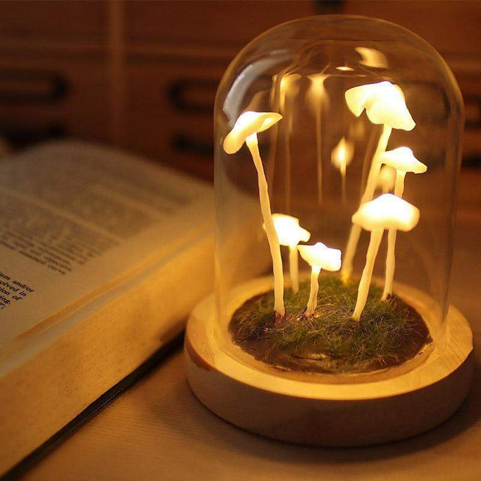 DIY Mushrooms in Forests Light