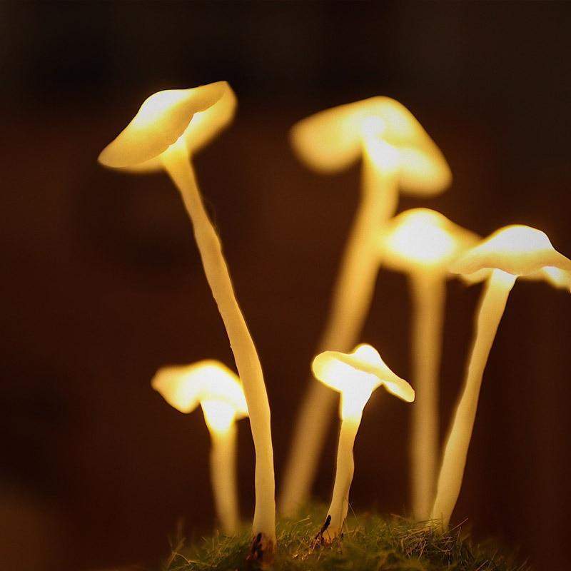 DIY Pilze im Wald Licht