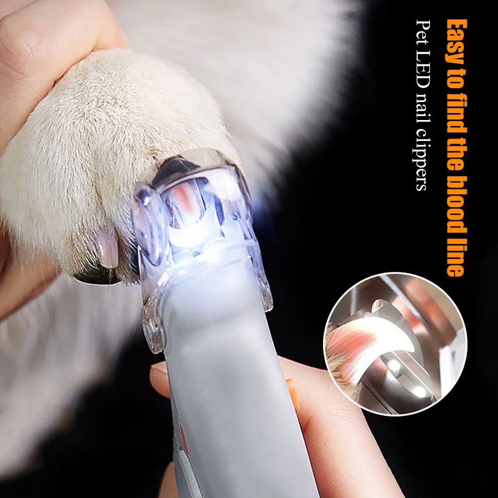 Best Dog Nail Clippers | Safe Toenail Trimmer