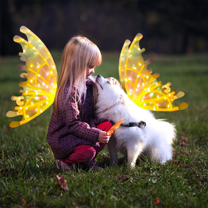Electric Colorful Kids / Adults LED Fairy Wings Costume