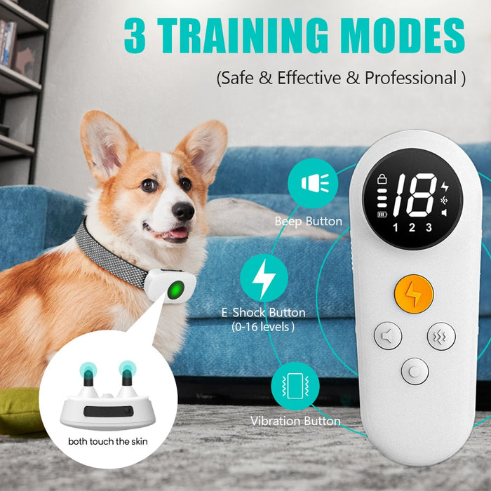 New Electric Training Collar Rechargeable
