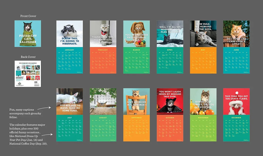 2024 Pissed-Off Cats Wall Calendar