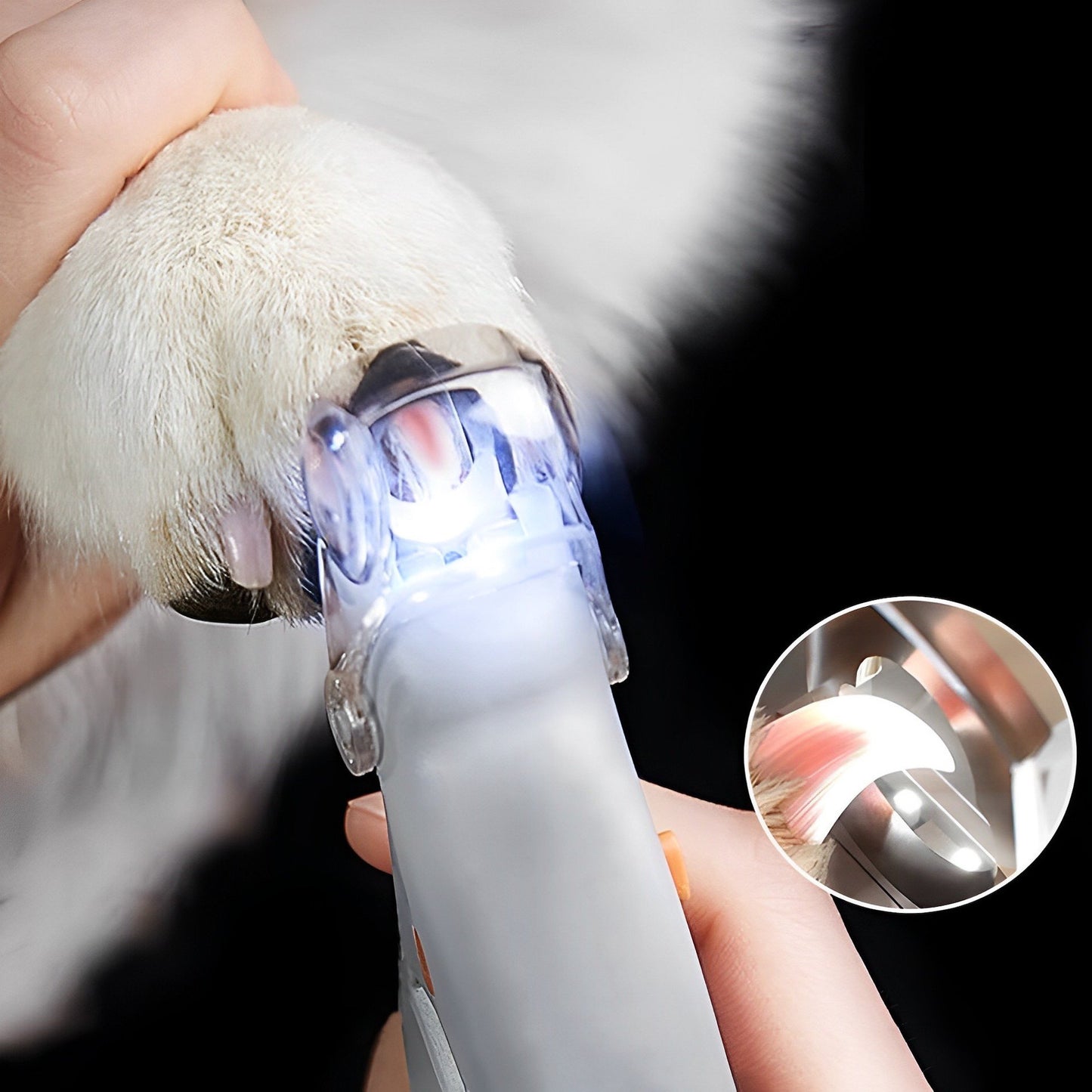 Best Dog Nail Clippers | Safe Toenail Trimmer